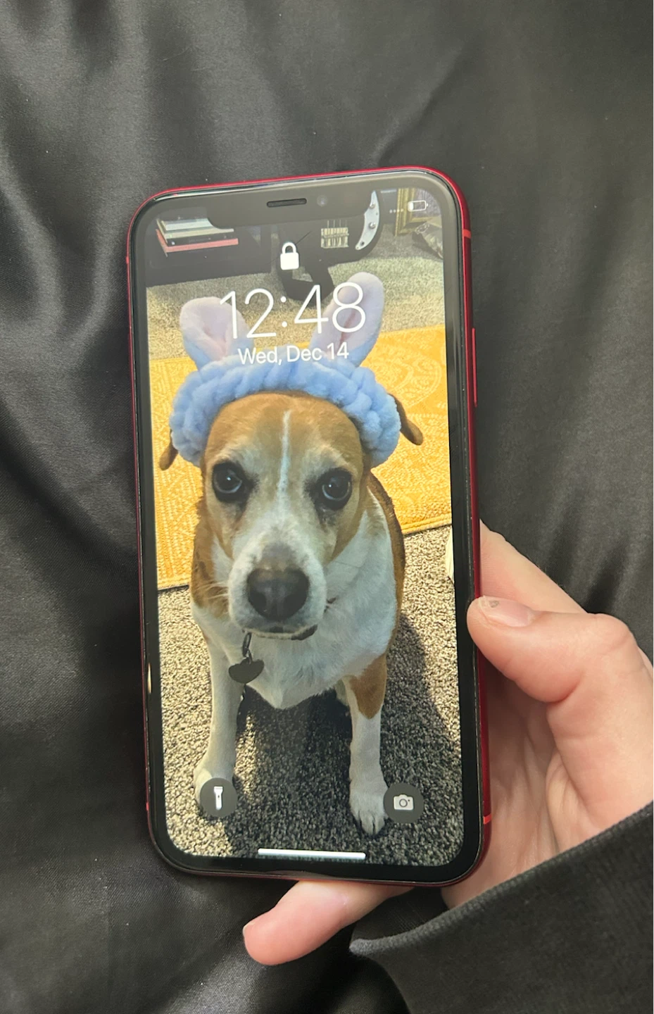 iPhone XR - photo 2