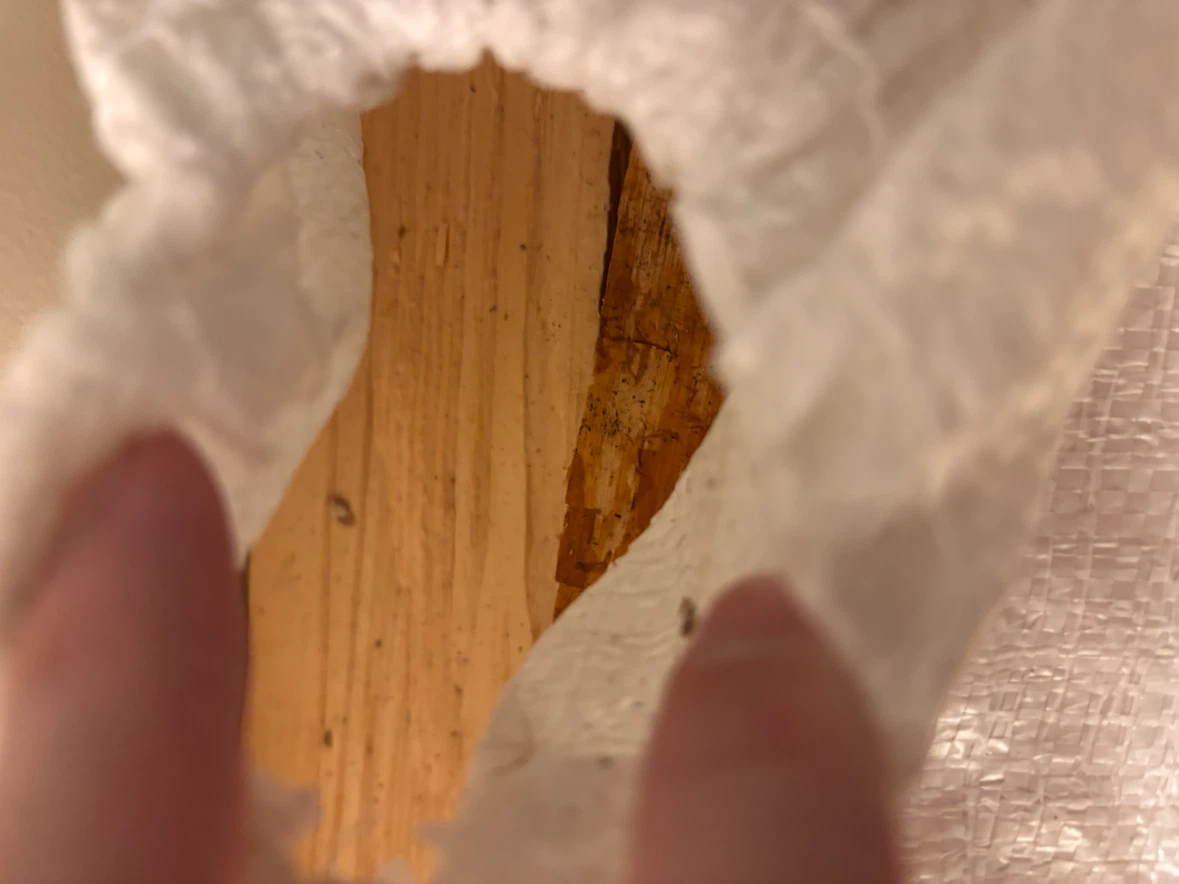 Firewood - photo 2