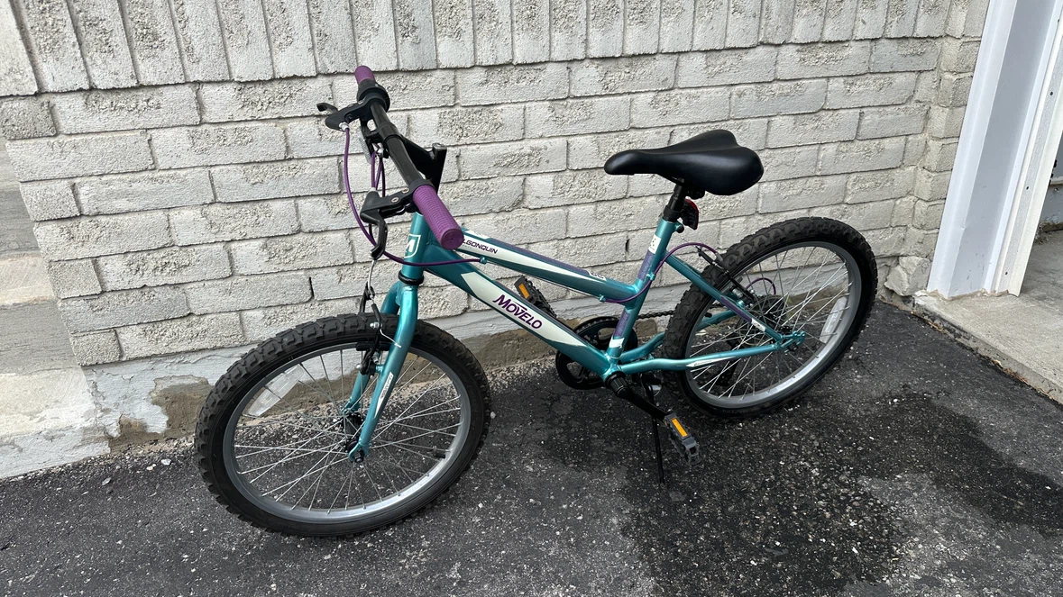 Movelo Algonquin Kids Bike - photo 2