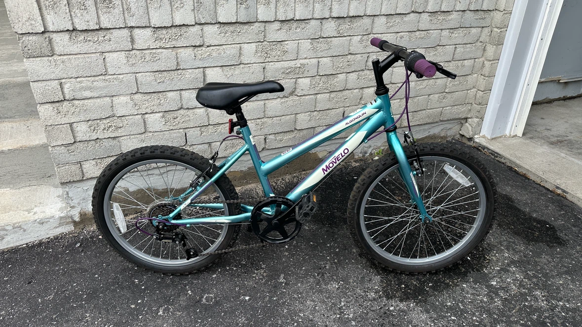 Movelo Algonquin Kids Bike - photo 3