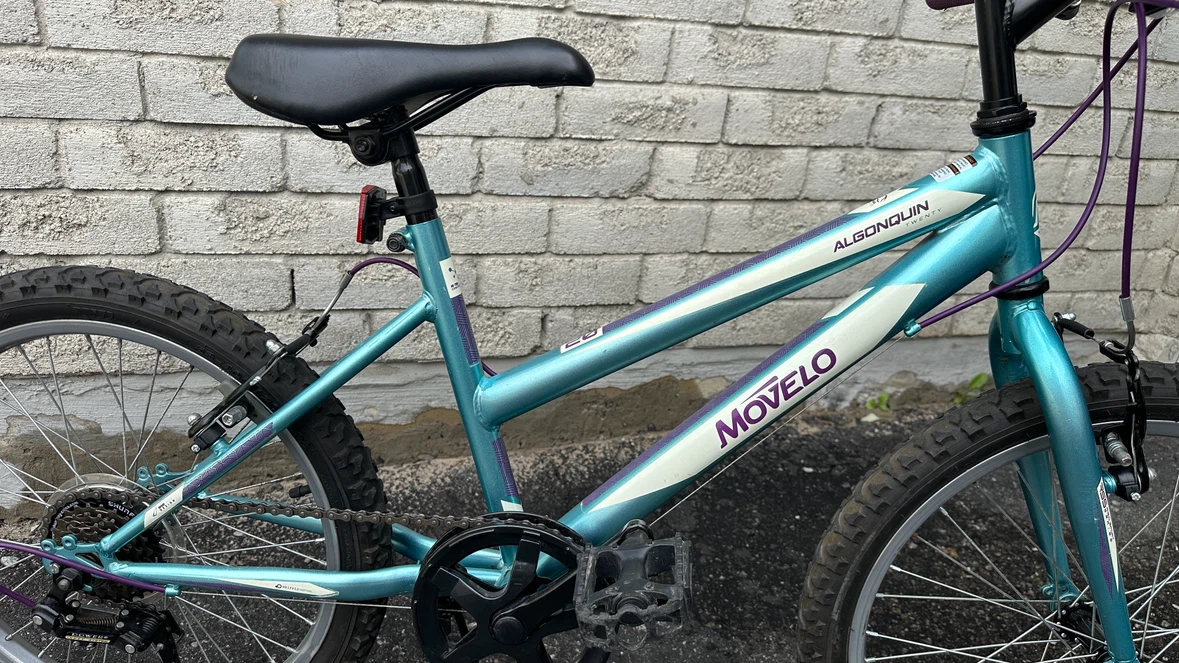 Movelo Algonquin Kids Bike - photo 5