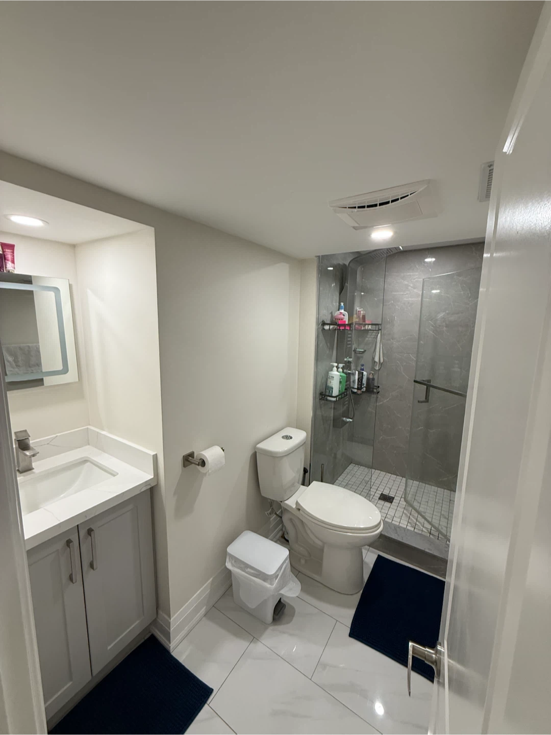 1bed 1bath Ensuite Laundry Basement - photo 5