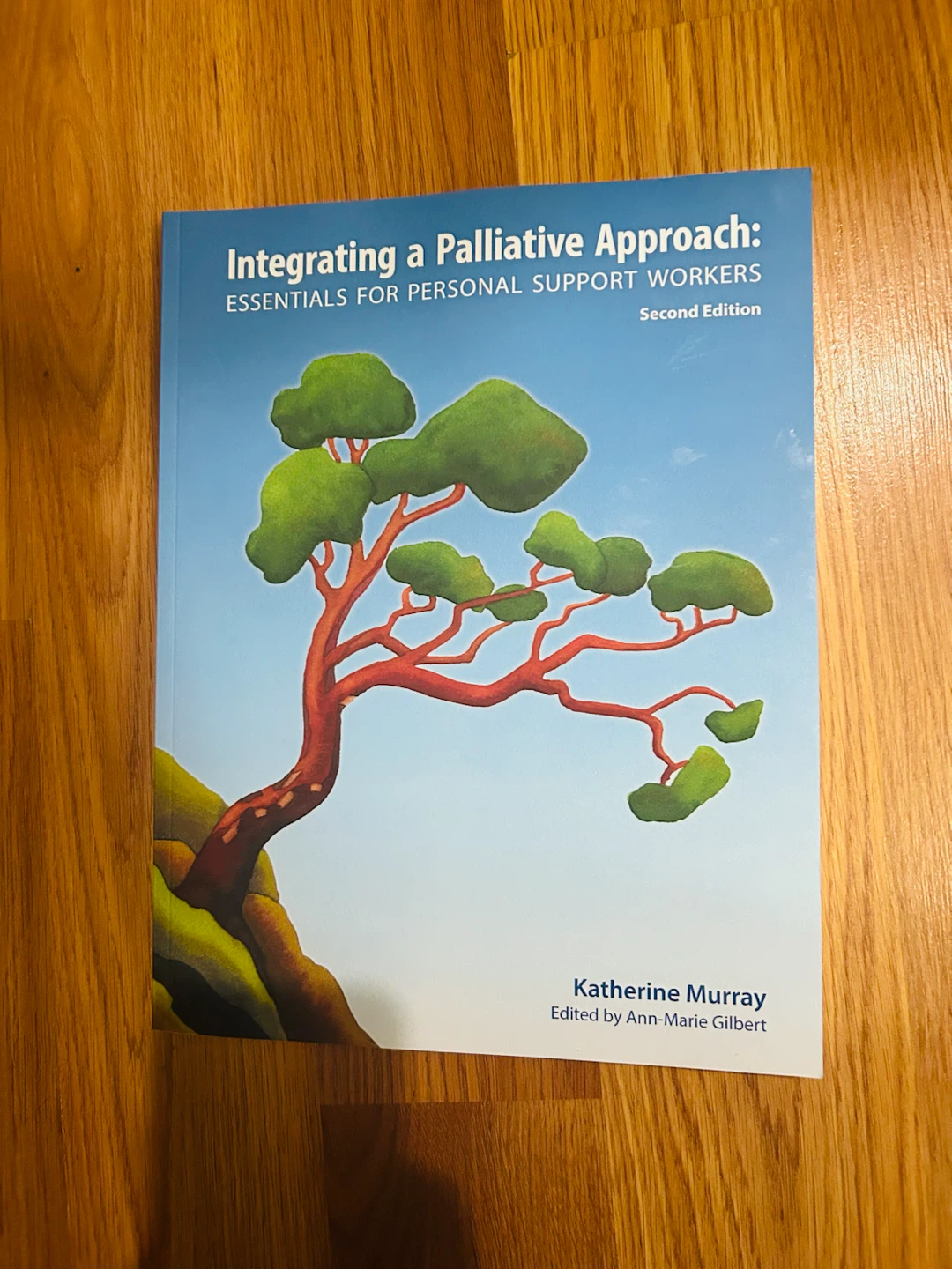 Integrating a Palliative Approach for PSW Workbook + Textbook