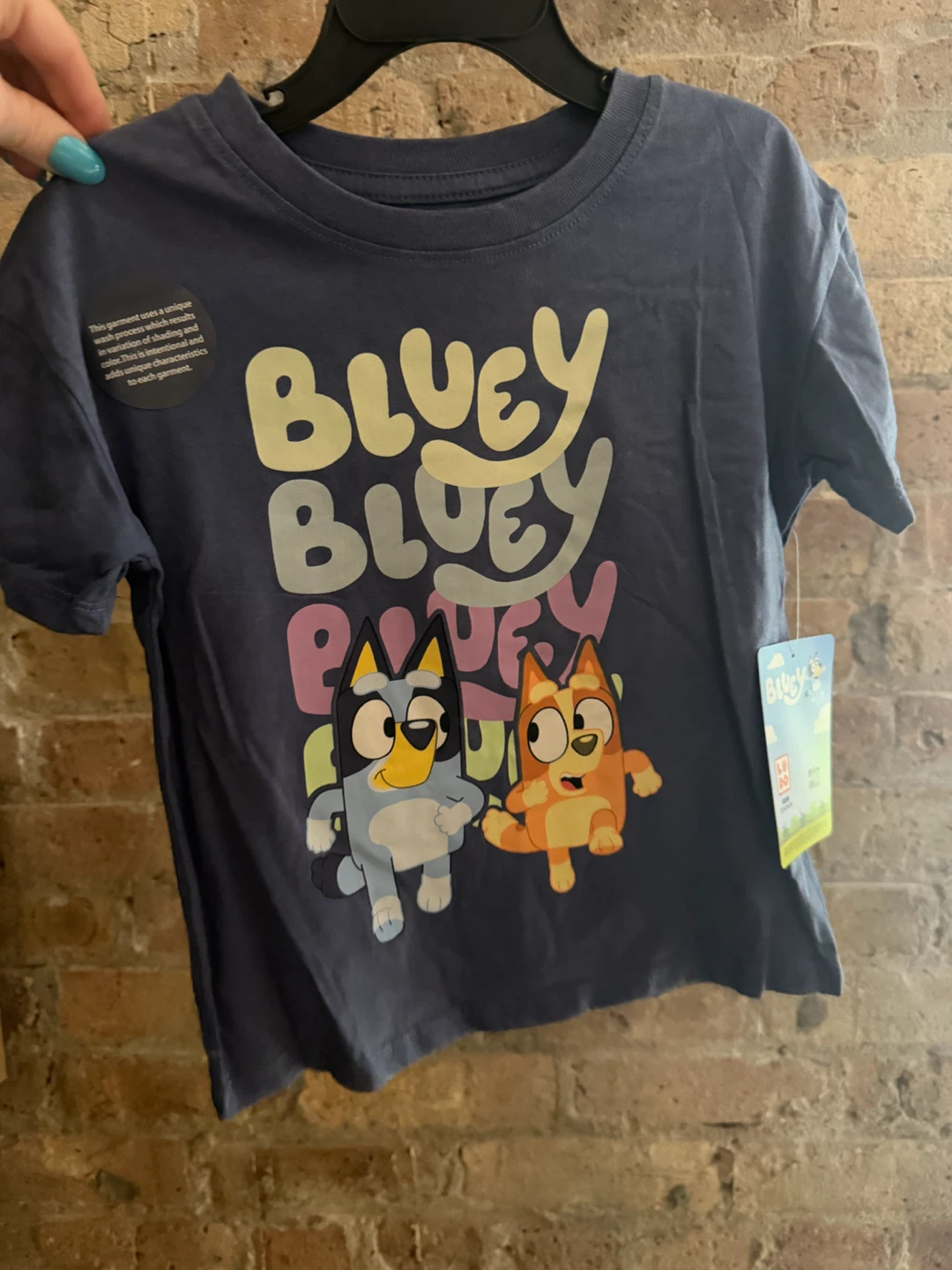 Bluey Toddler Graphic T-Shirt Size 4T