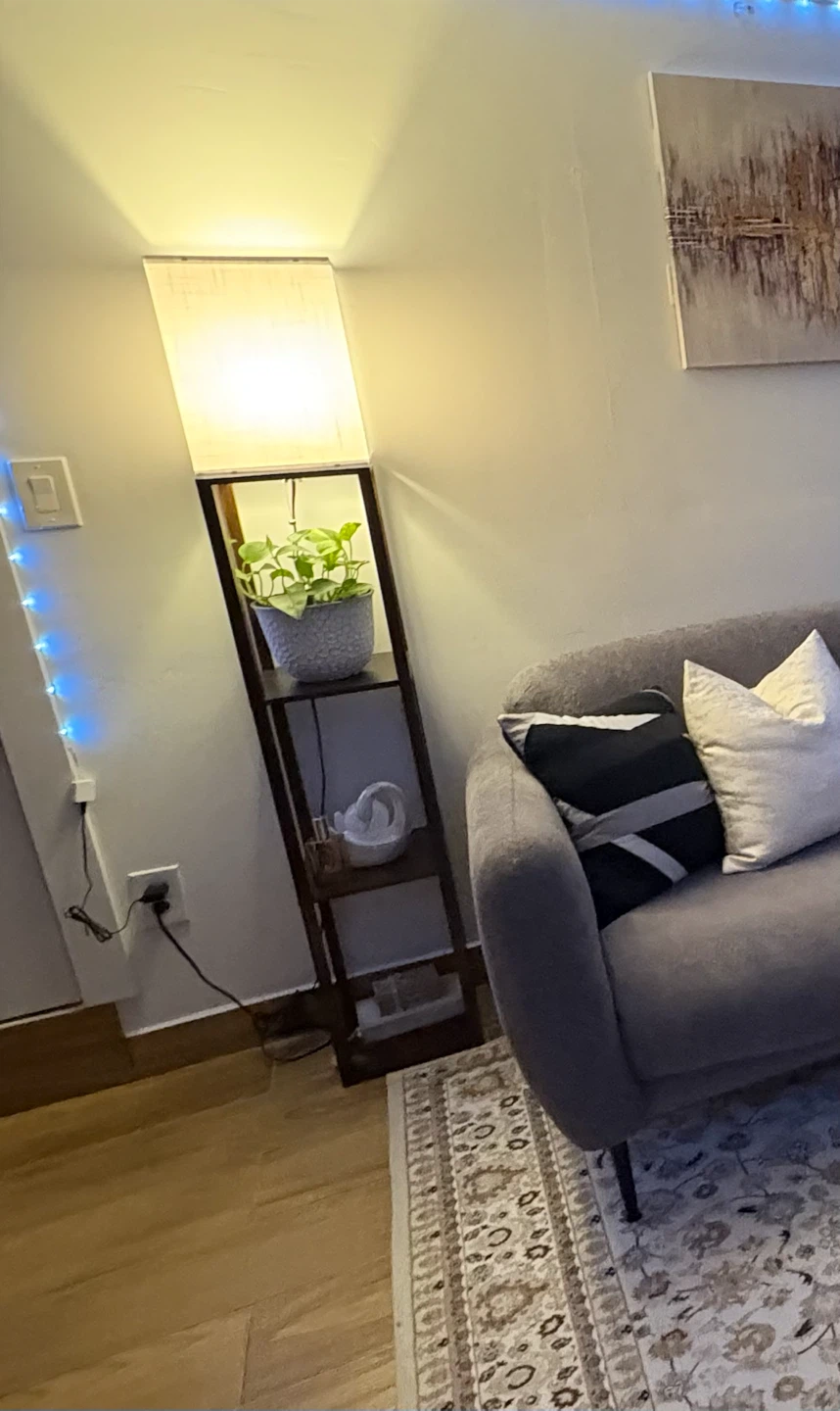 Floor Lamp with Shelves