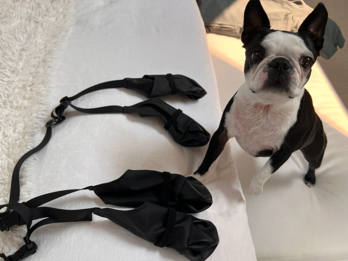 Adjustable Dog Boots for Small/Medium Dogs - photo 2