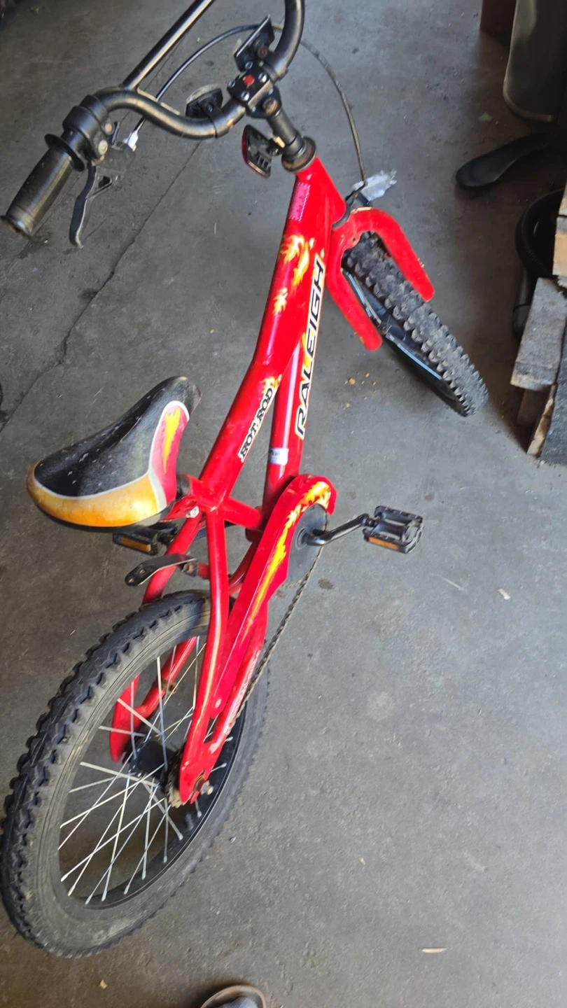 Raleigh Hot Rod Kids Bike