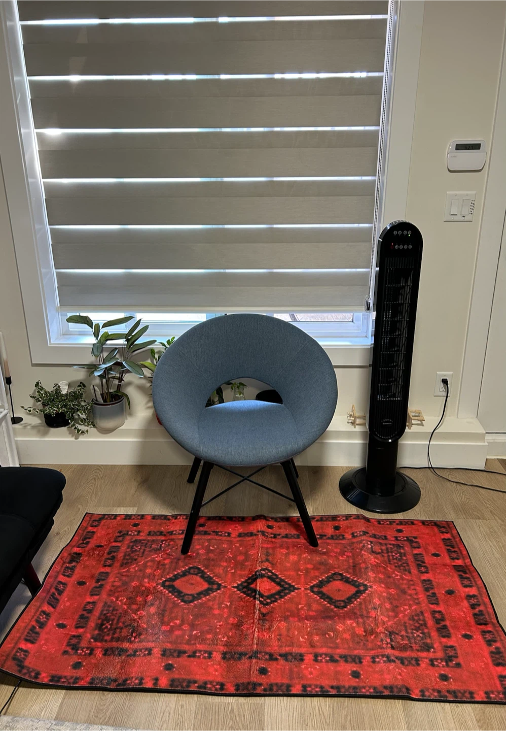 Red and Black Persian Style Area Rug