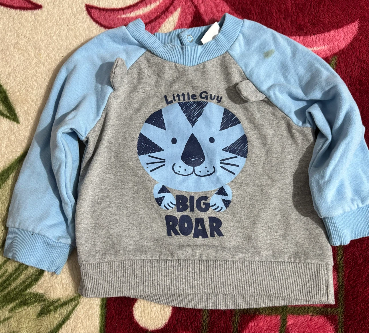 Baby Boys "Little Guy BIG ROAR" Graphic Sweatshirt