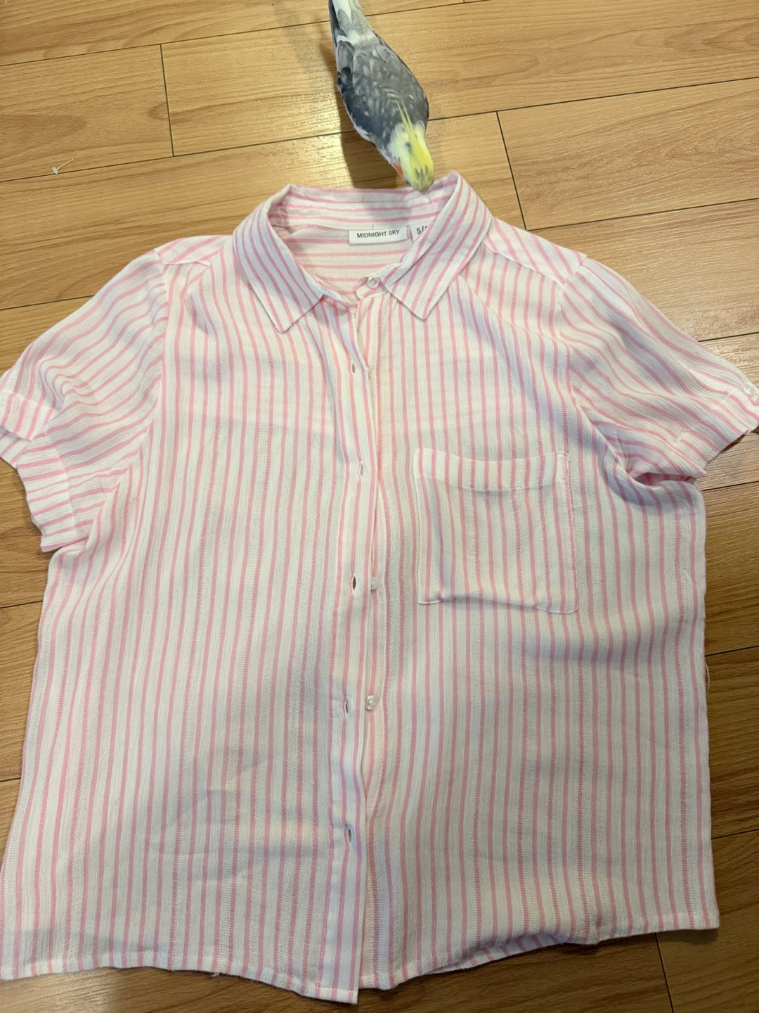 Midnight Sky Pink Striped Blouse S/P