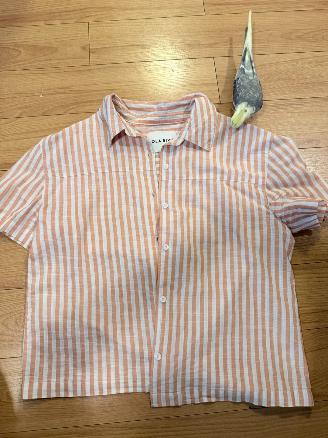 Lola River Striped Short-Sleeve Button-Up Shirt - Size M
