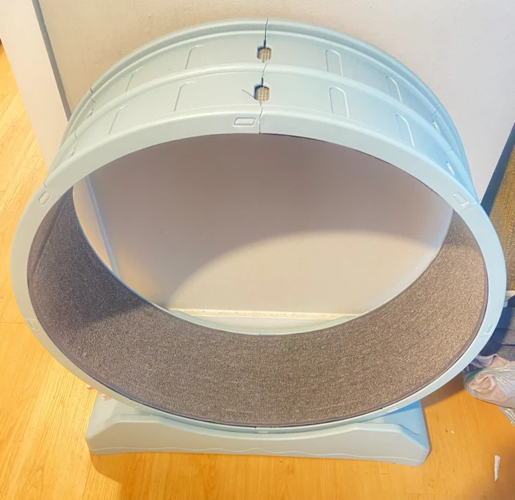 Light Blue Cat Exercise Wheel
