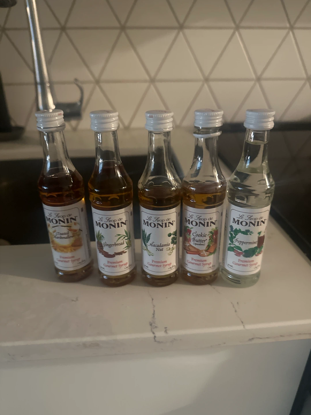 Monin Gourmet Syrup Mini Bottles - 5 Flavours