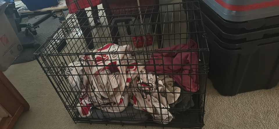 Wire Dog Crate