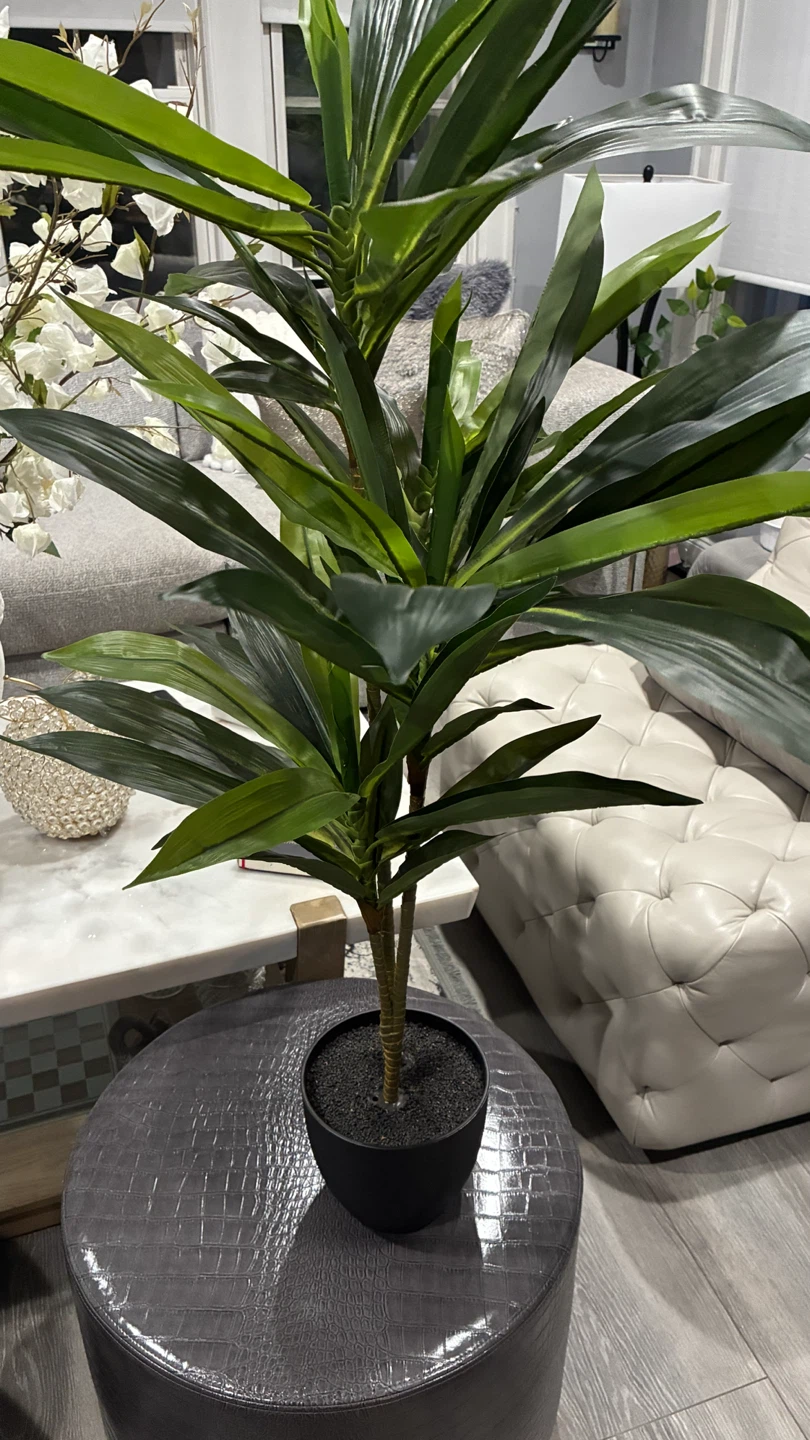 Artificial Dracaena Plant in Black Pot