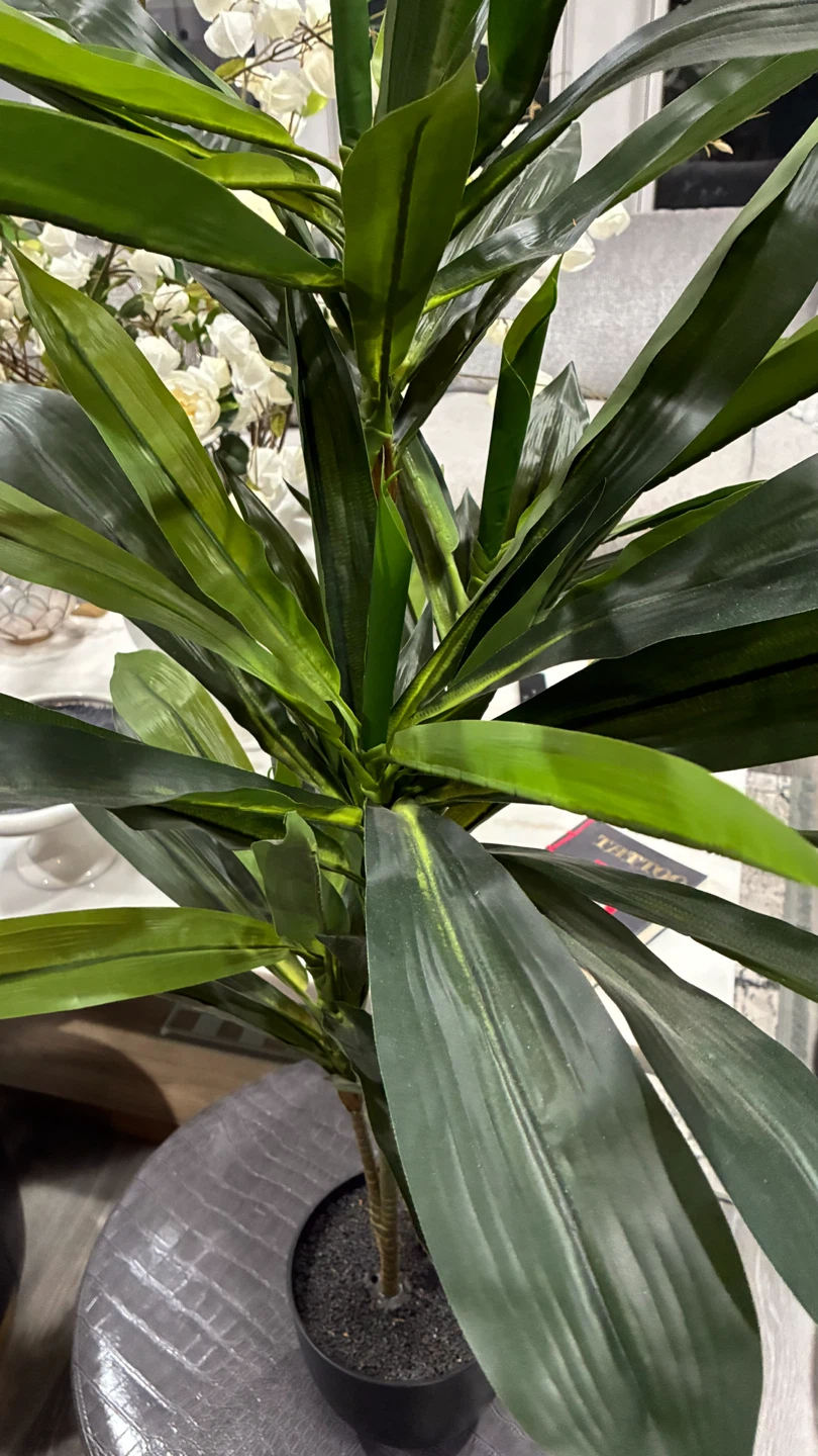 Artificial Dracaena Plant in Black Pot - photo 2
