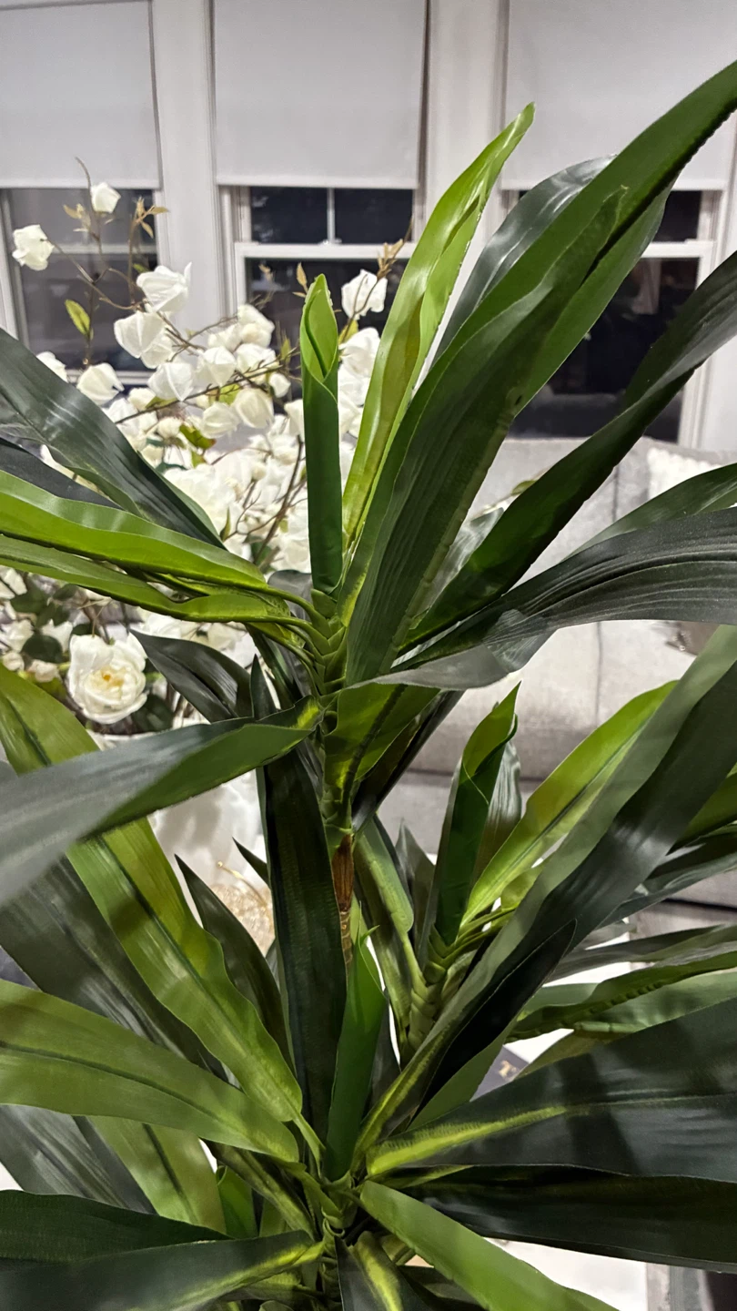 Artificial Dracaena Plant in Black Pot - photo 3