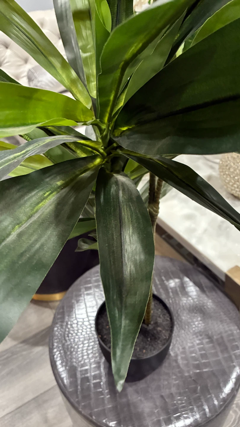 Artificial Dracaena Plant in Black Pot - photo 4