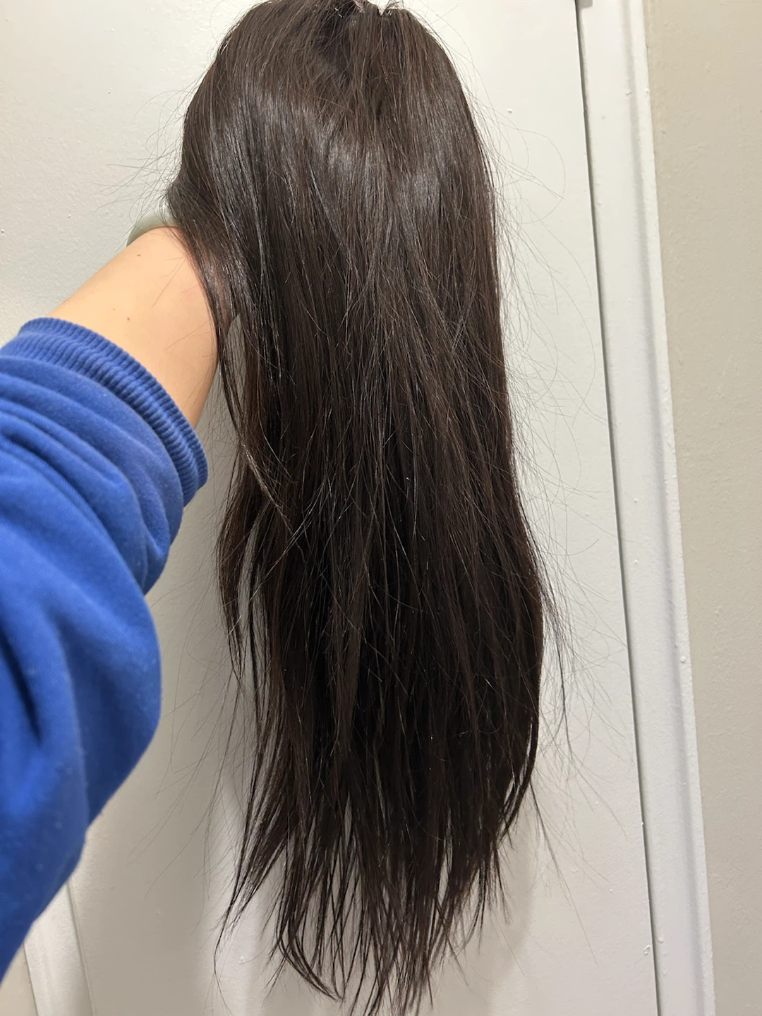Dark Brown Human Hair Wig