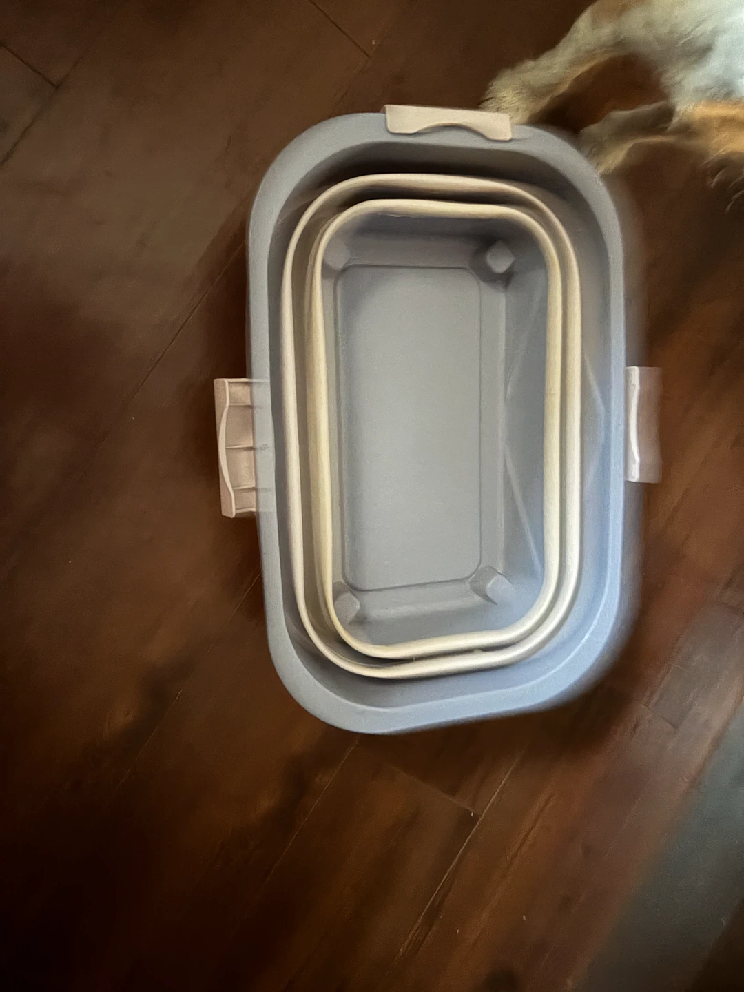 Collapsible dog/cat food container - photo 3