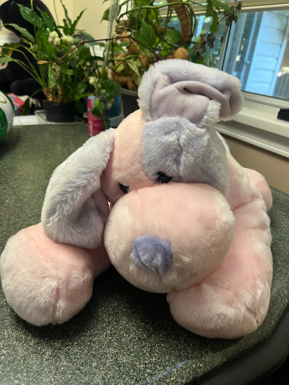 Pink and Purple Stuffed Dog