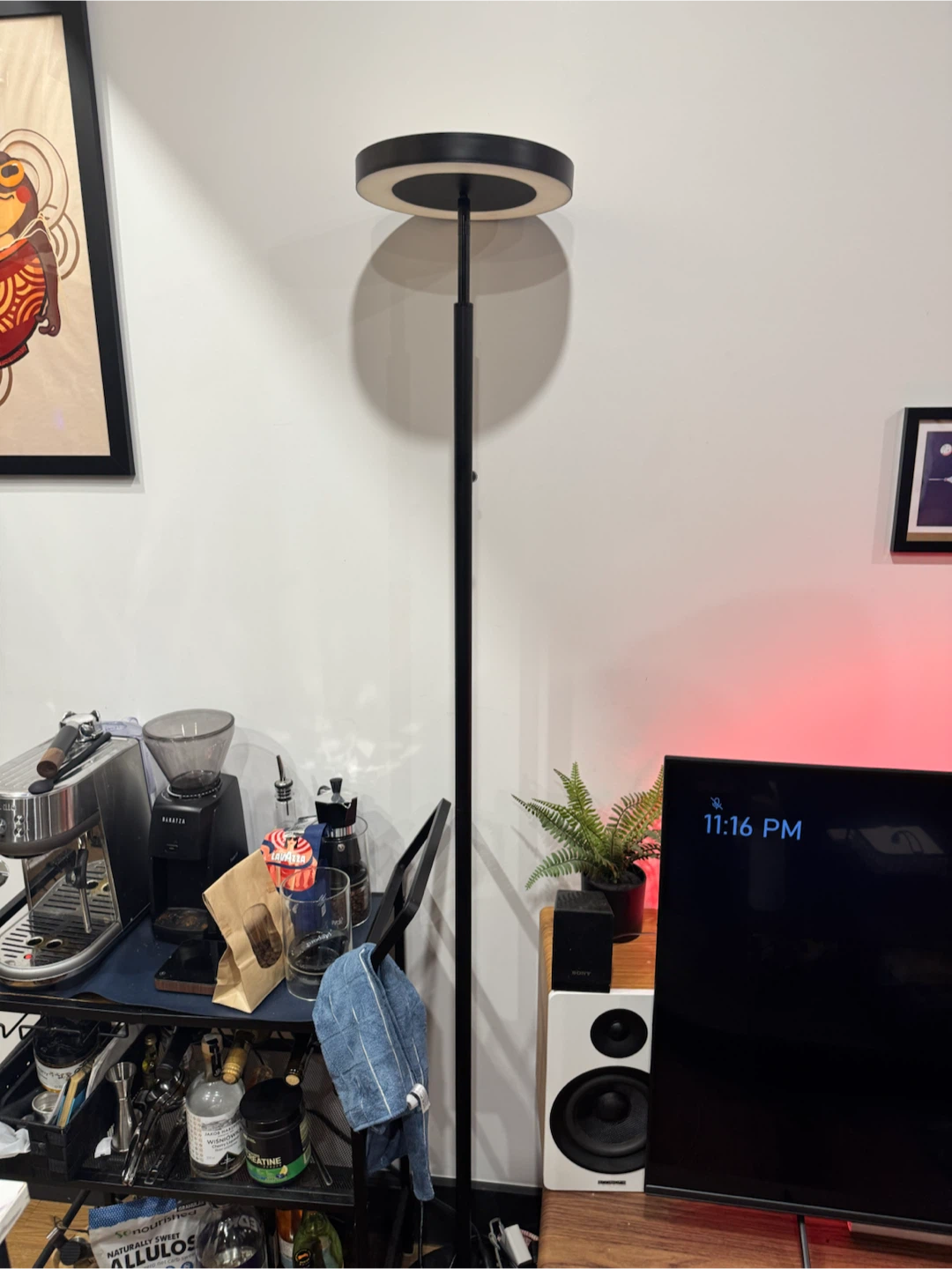Black LED Floor Lamp with Ring Light