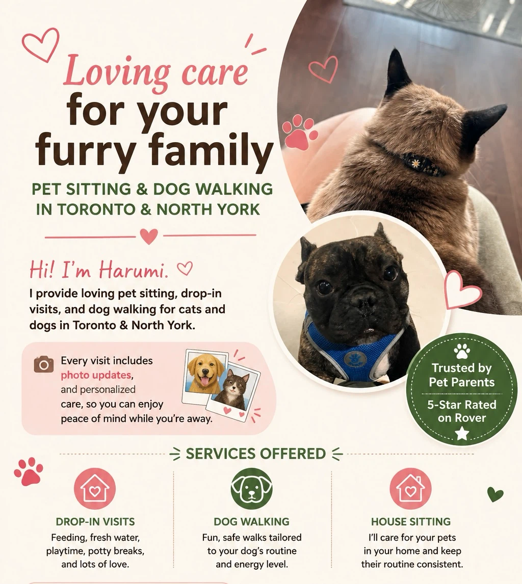 Pet Sitting & Dog Walking | Toronto & North York