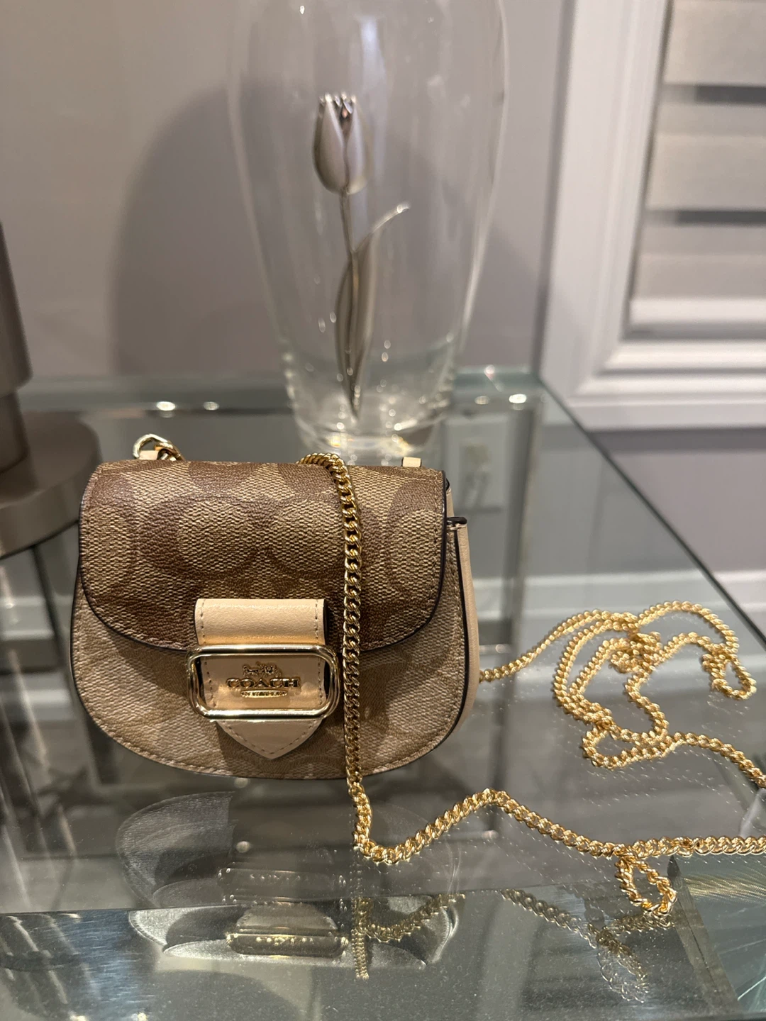 Coach Signature Canvas Mini Bag with Gold Chain