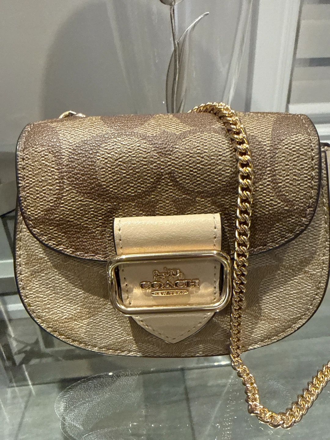 Coach Signature Canvas Mini Bag with Gold Chain - photo 2