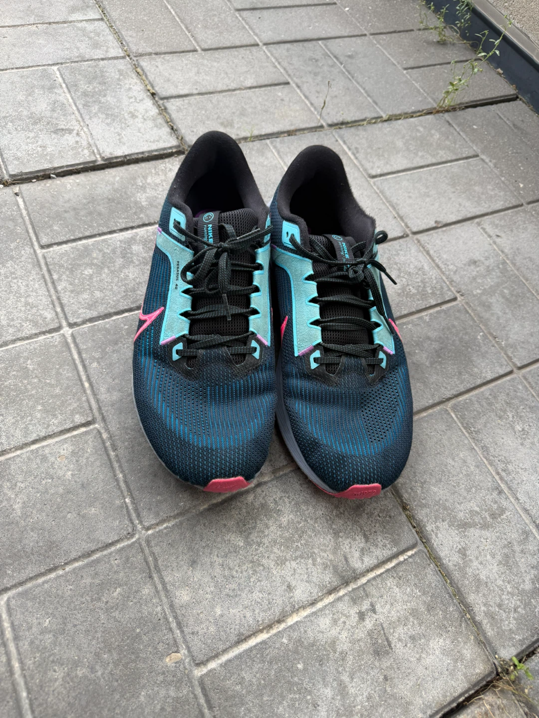 Nike Pegasus 40 Running Shoes
