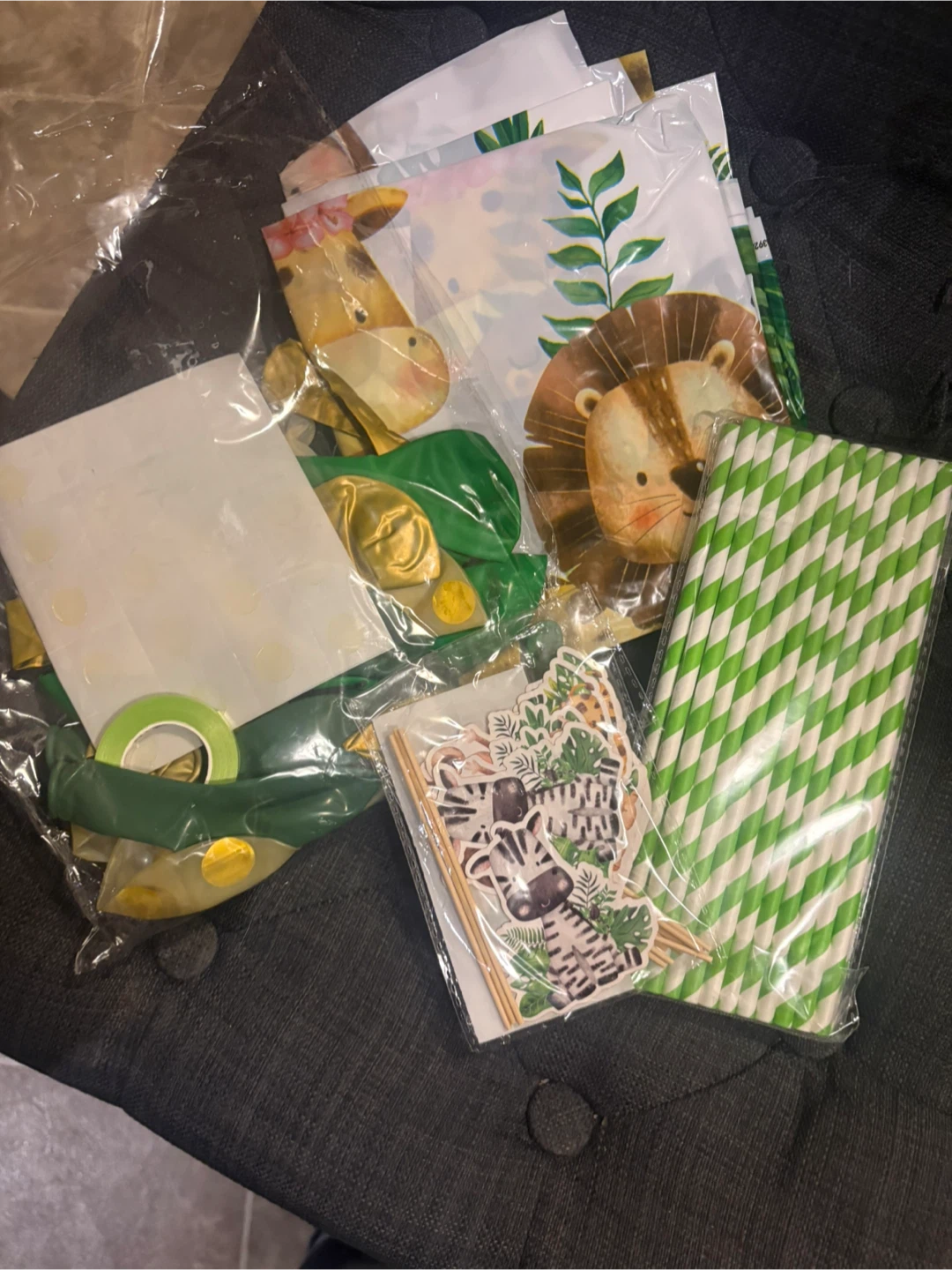 Wild One Birthday Party Supplies & Outfit - photo 3