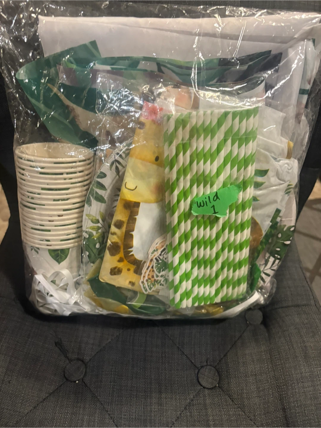 Wild One Birthday Party Supplies & Outfit