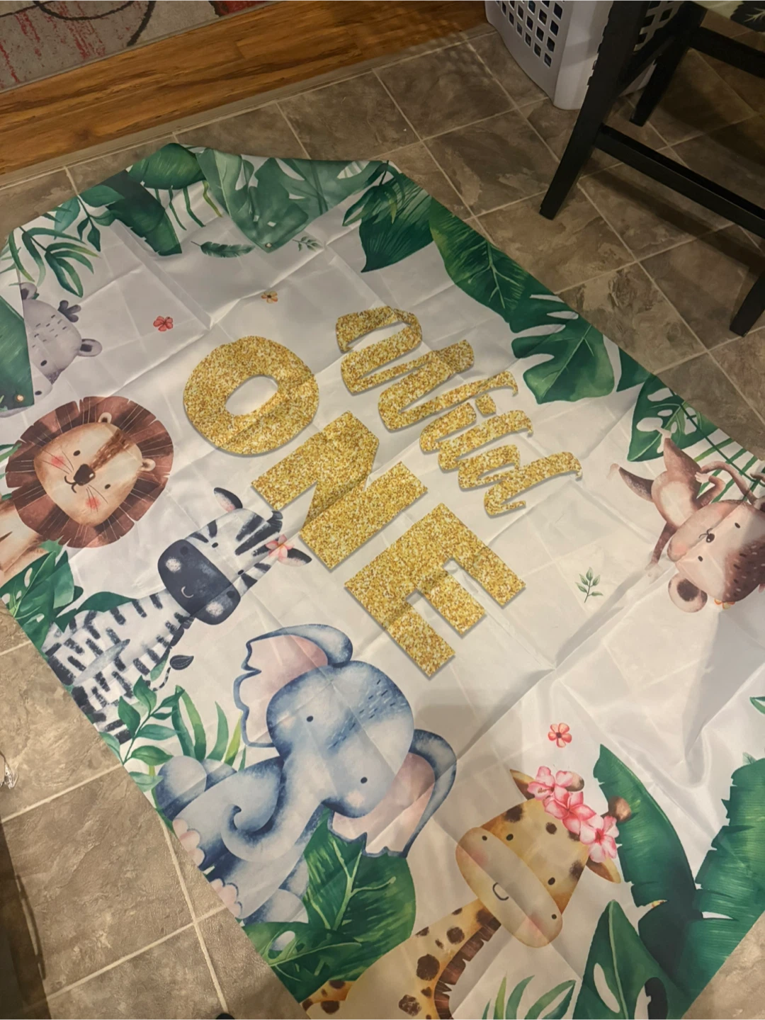 Wild One Birthday Party Supplies & Outfit - photo 2