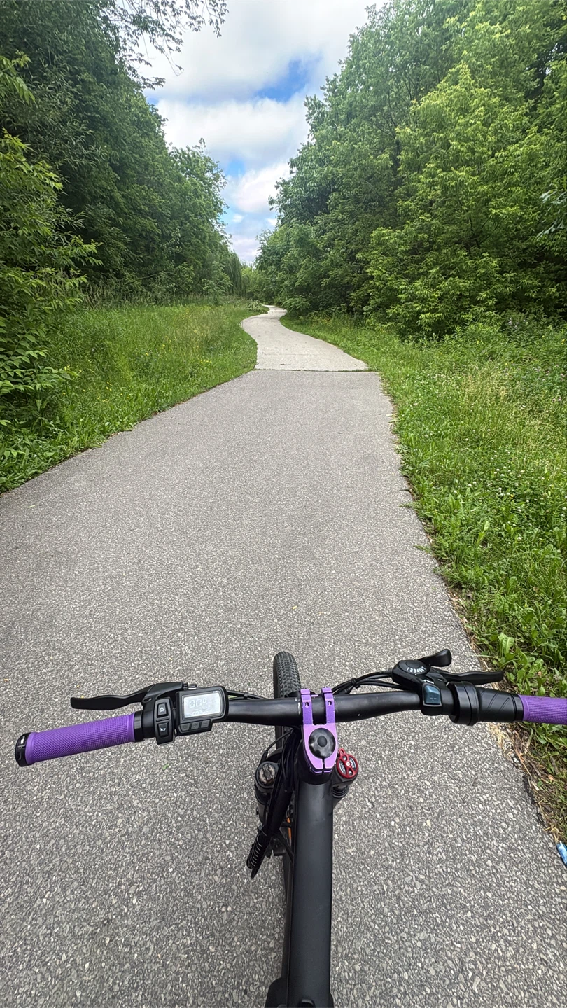 Electric mountain bike - photo 2