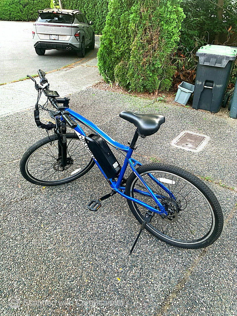 Electric bike