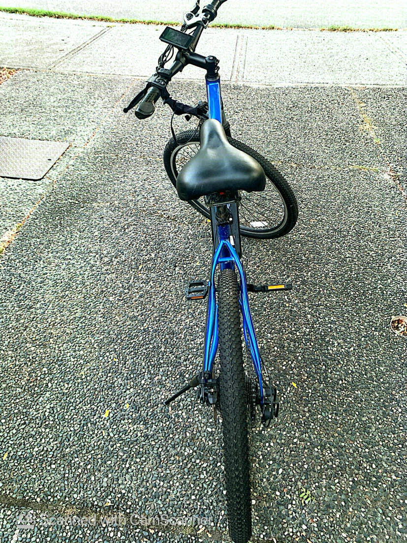 Electric bike - photo 2