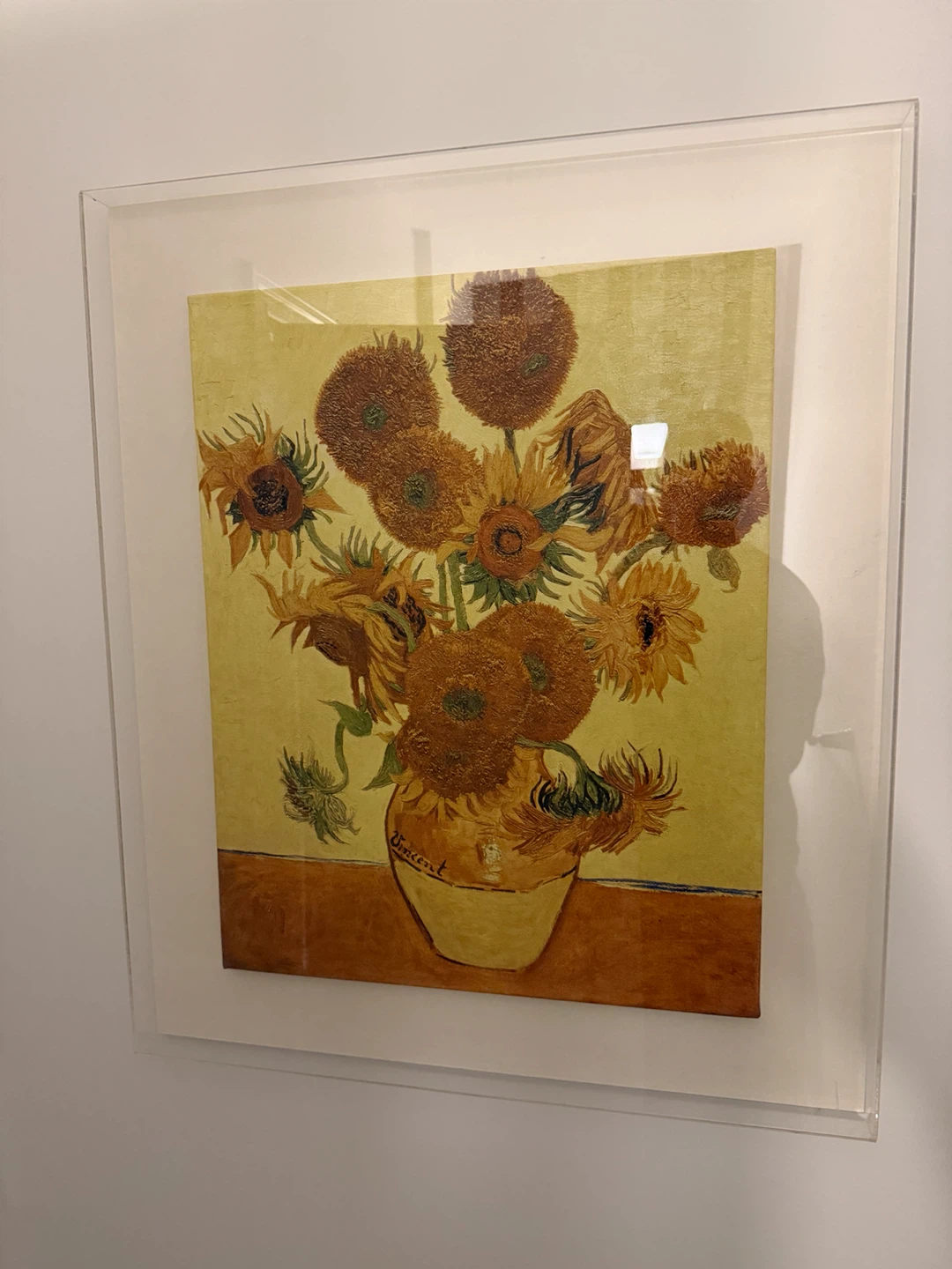 Framed Prints (Each $100)