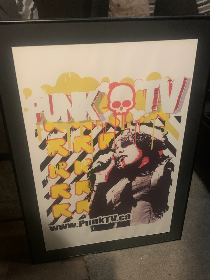 LARGE 30x42” Framed Punk TV Poster