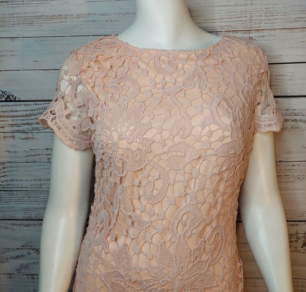 AX Paris Dress, US 8 - photo 5