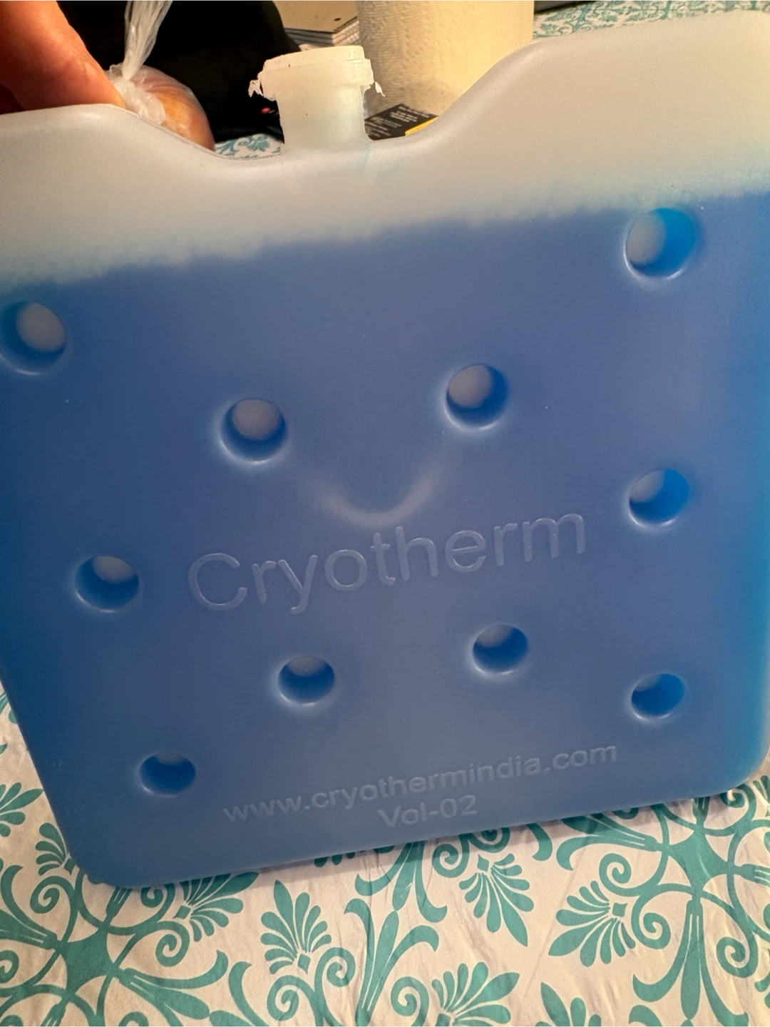 Ice Packs