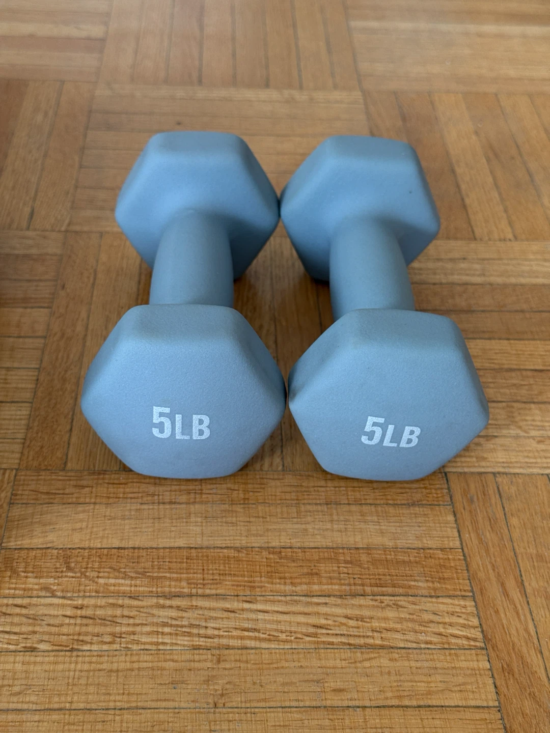 ZIVA Premium Hex Dumbbells Set – 5 & 15 lbs - photo 2