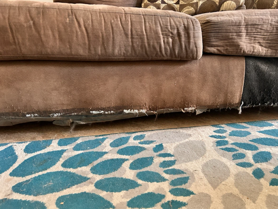 FREE!!!  BOBS FURNITURE - SOFA BED (2 piece set) - photo 4