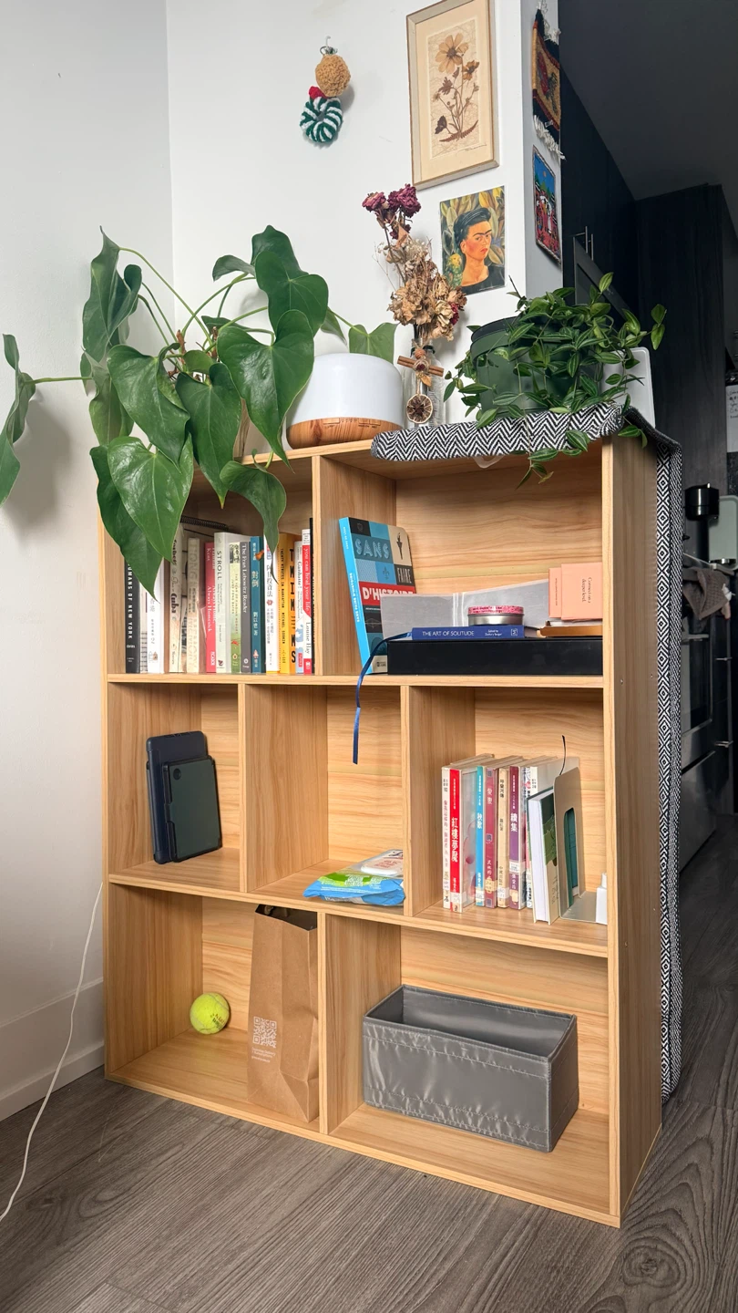 Wooden Bookshelf with Multiple Shelves
