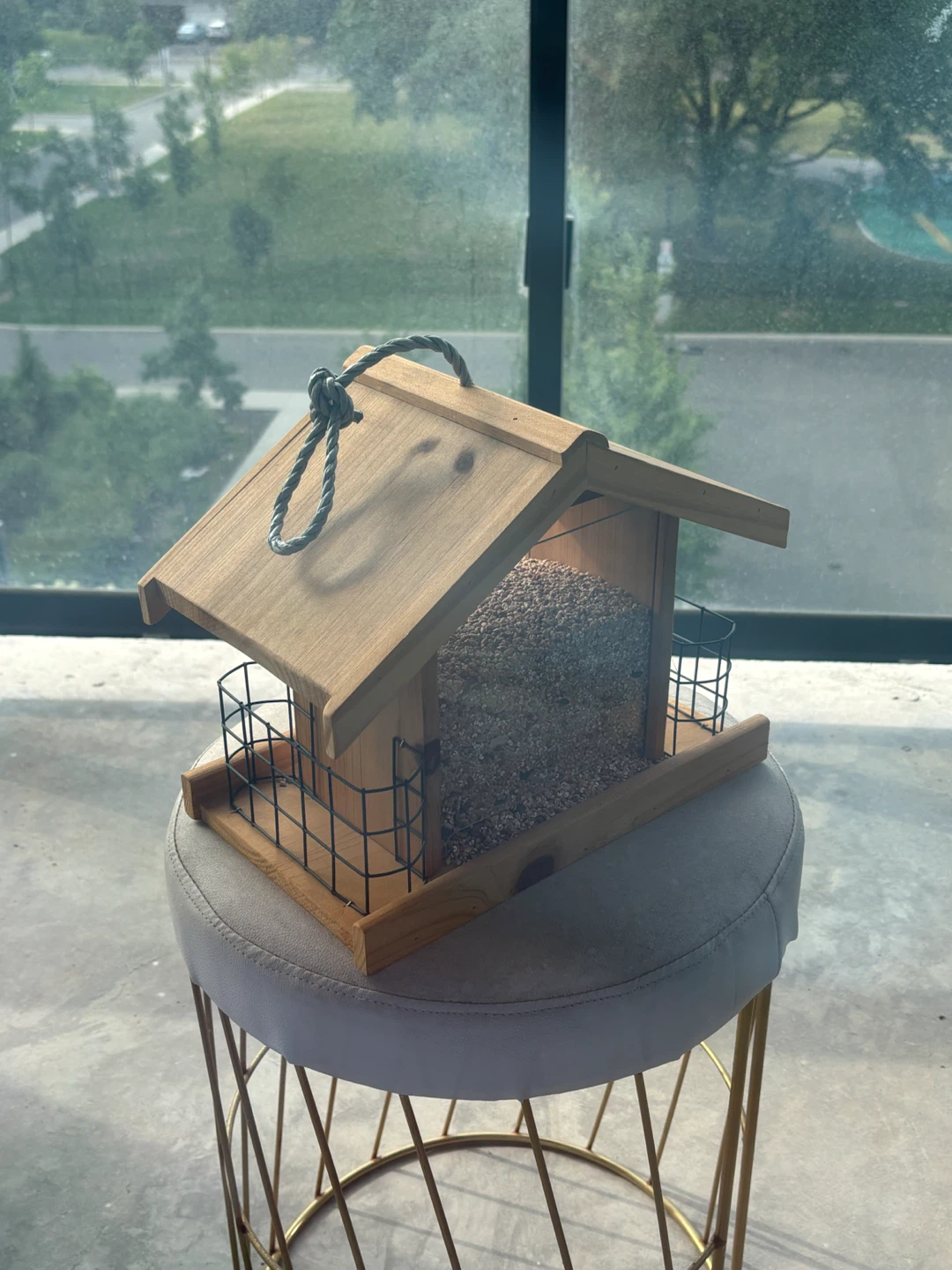 Bird feeder with bird food