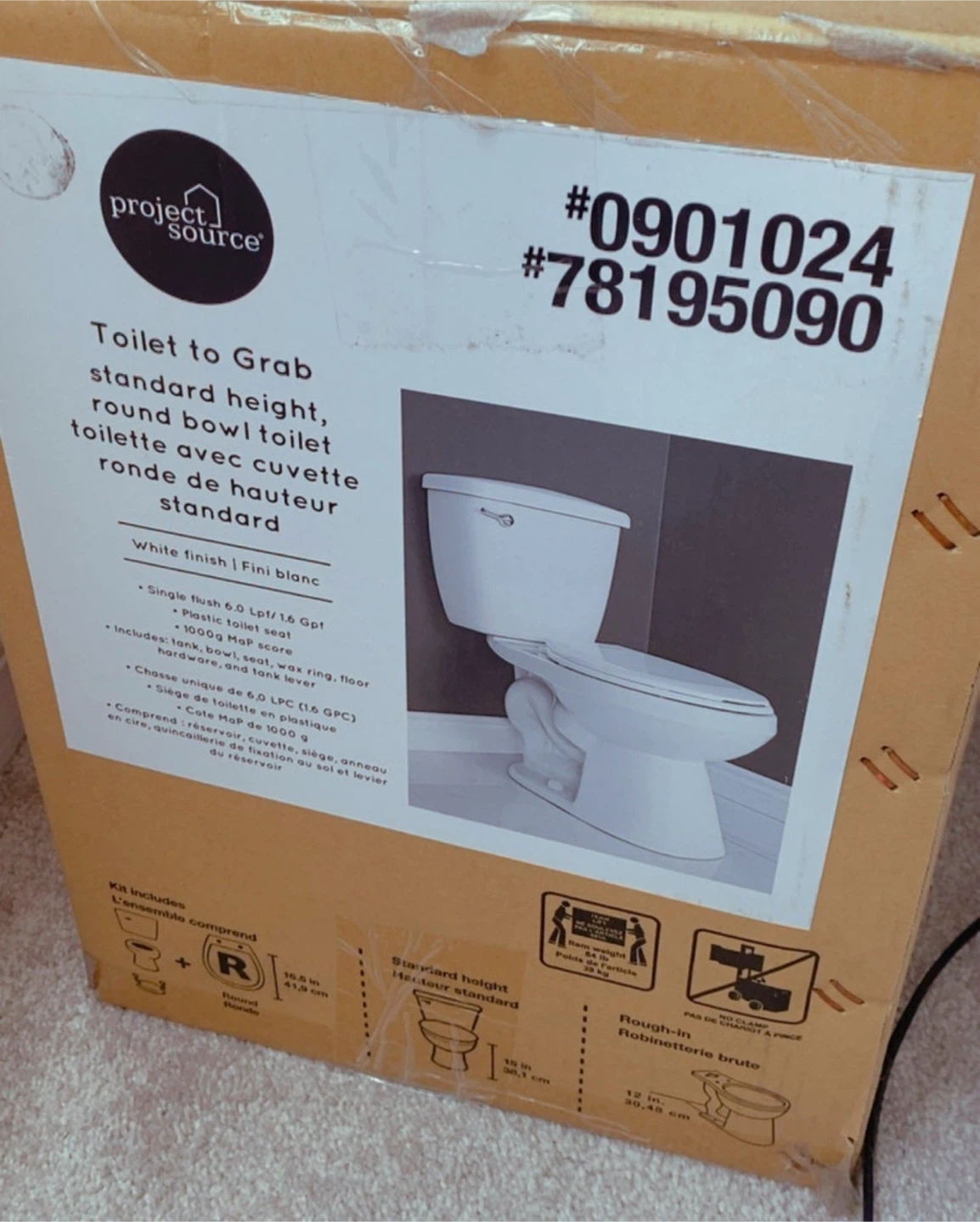 Toilet comes with no tank