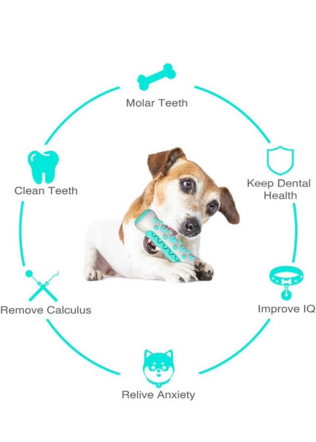 Dog Dental Chew Toy - photo 3