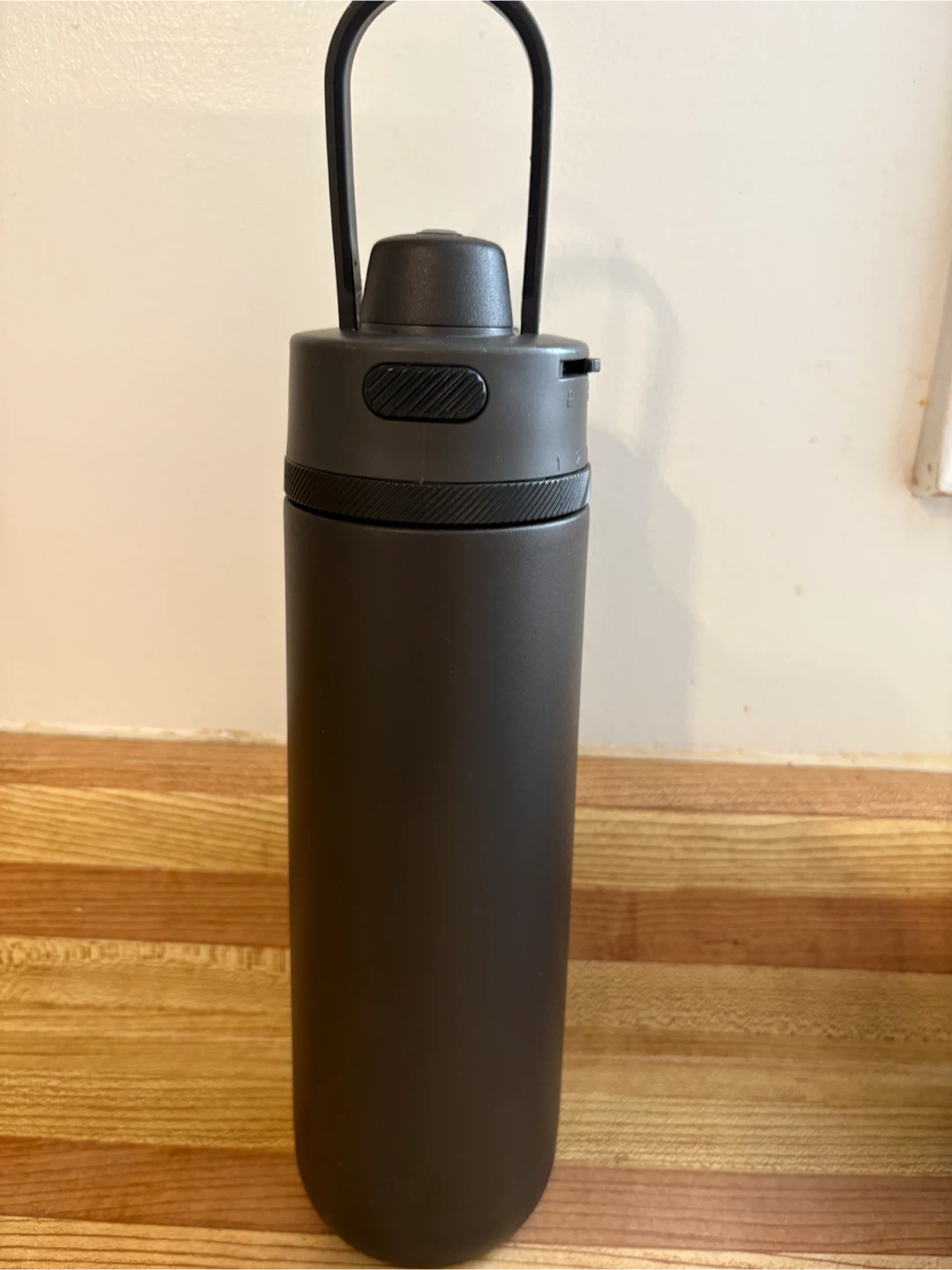Thermos Black Water Bottle with Handle
