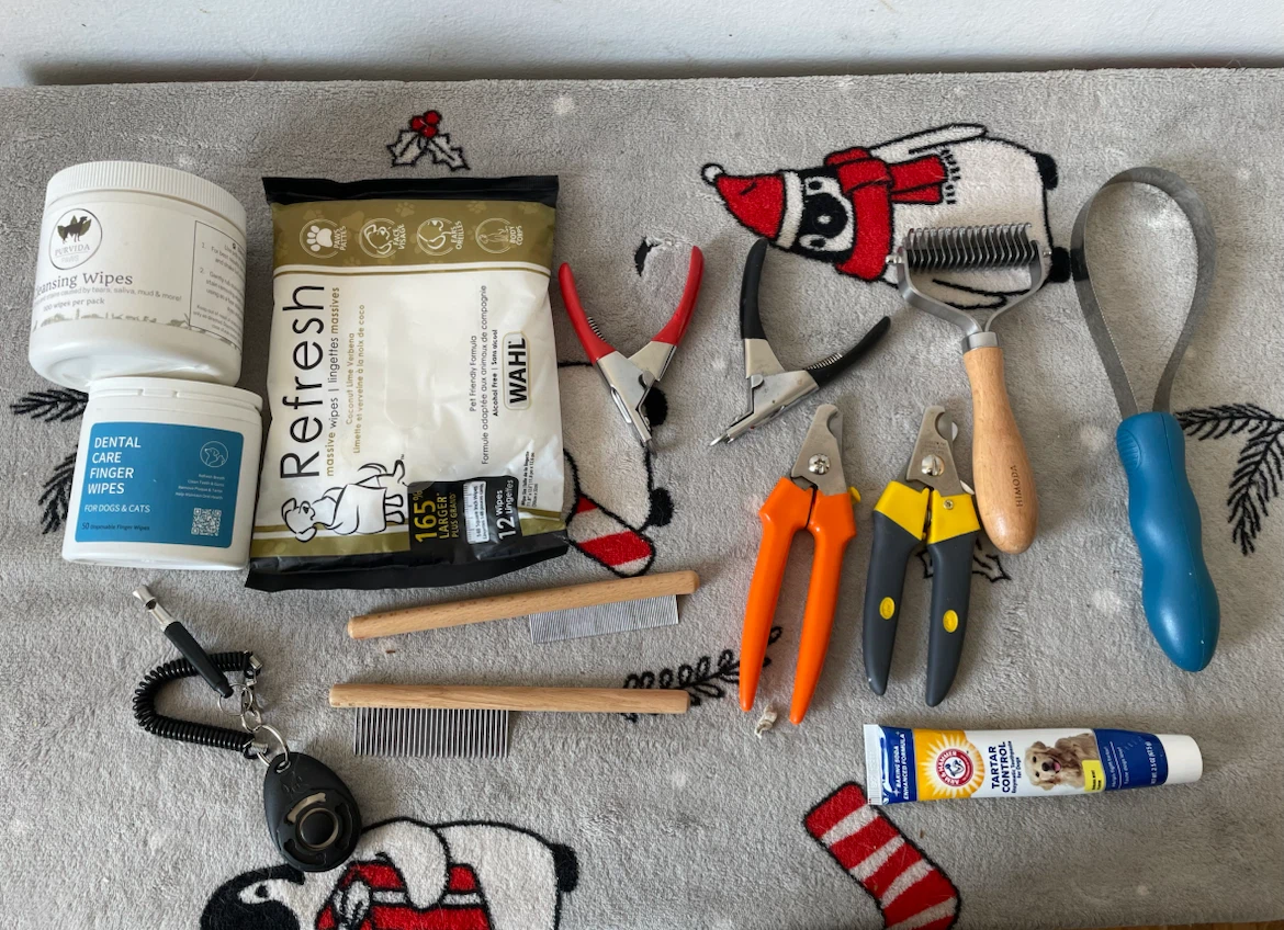 Dog Grooming Lot (Brushes, Wipes, Etc)