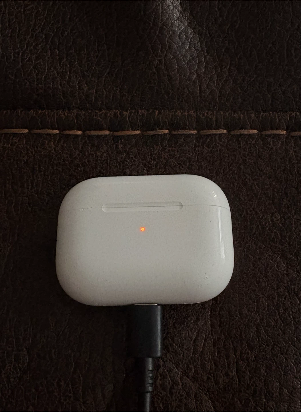 Apple AirPods Pro Charging Case