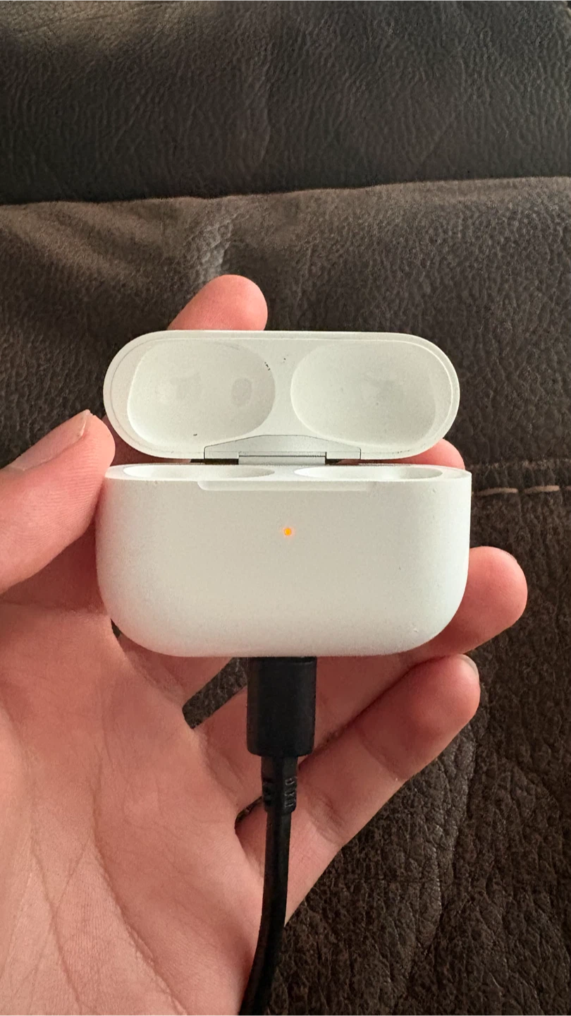 Apple AirPods Pro Charging Case - photo 2